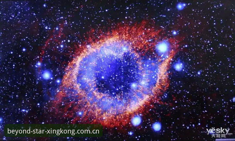 5个维度拆解SX5U星空官网评测：星空体育平台V2.3.4移动端实测与看客玩法分析