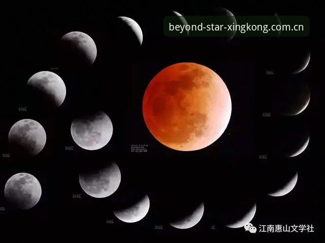 我们定义看客玩法介绍 从